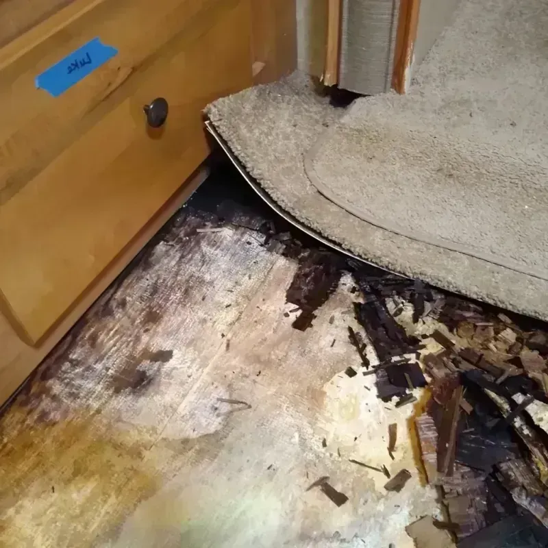 Wood Floor Water Damage in New Carrollton, MD